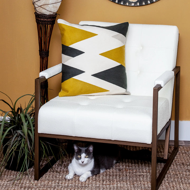Parkland Collection Ziglar Contemporary Pillow Cover With Poly Insert Parkland Collection