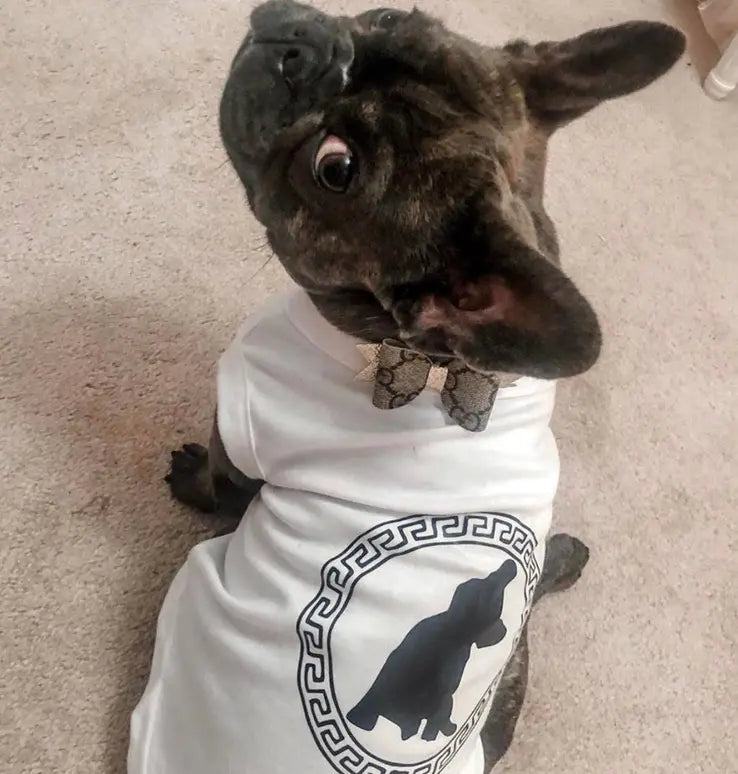Pawsace Tee Bark Fifth Avenue