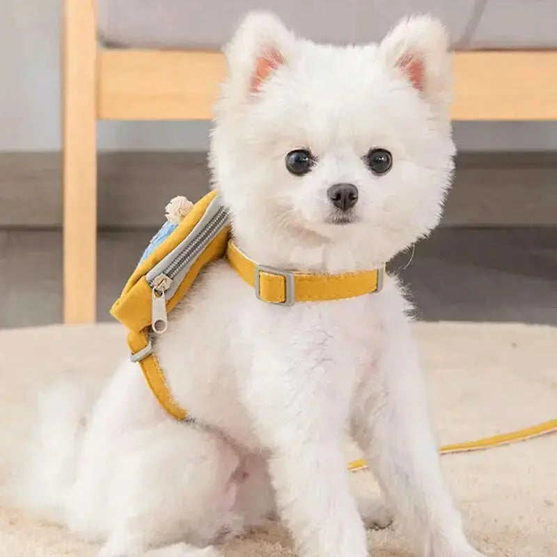 Pet-Cute-Dog-Cat-Harness-with-backpack-Medium-small-Dog-Lead-Walking-Running-training-Leashes-Dogs-Chest-Strap-star-pattern-Vest-GreatEagleInc-334817746