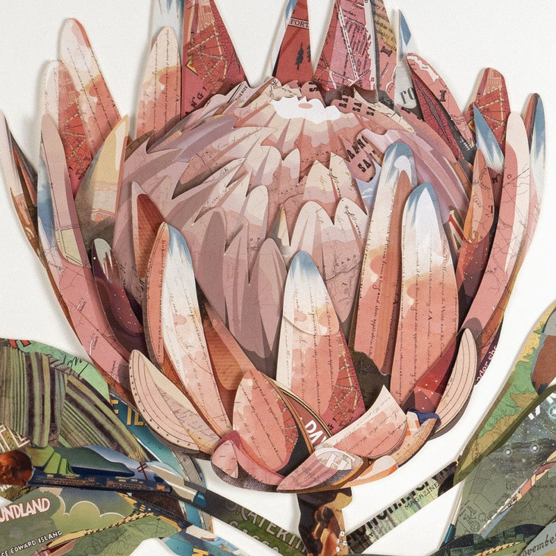 Petal Palette Collage II Brown Shadowbox Textual Art Wall Art Homeroots Home Decor