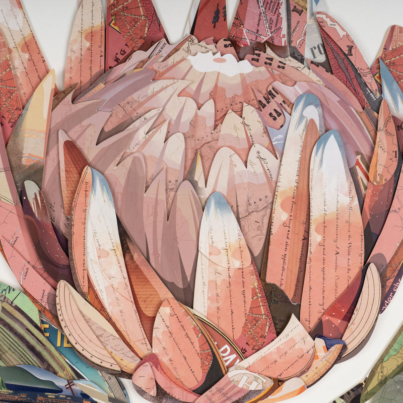 Petal Palette Collage II Brown Shadowbox Textual Art Wall Art Homeroots Home Decor