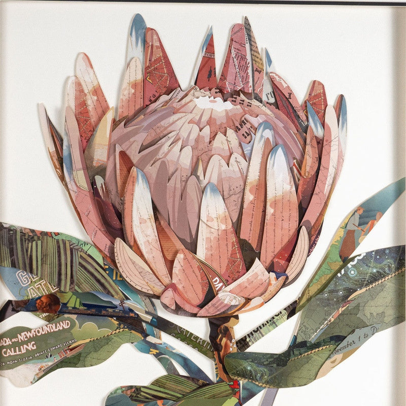 Petal Palette Collage II Brown Shadowbox Textual Art Wall Art Homeroots Home Decor