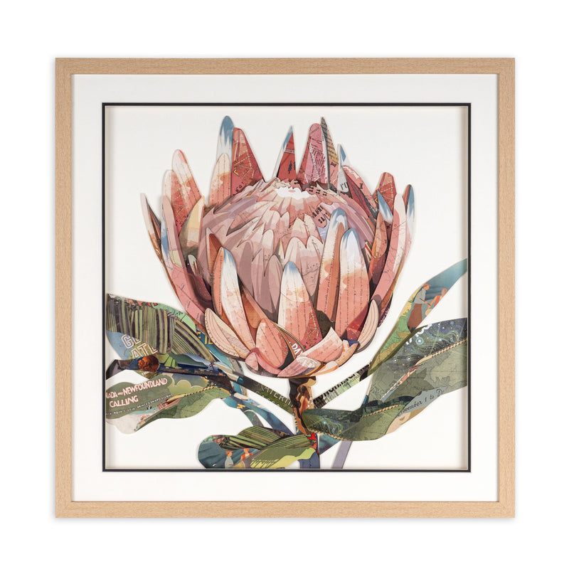 Petal Palette Collage II Brown Shadowbox Textual Art Wall Art Homeroots Home Decor