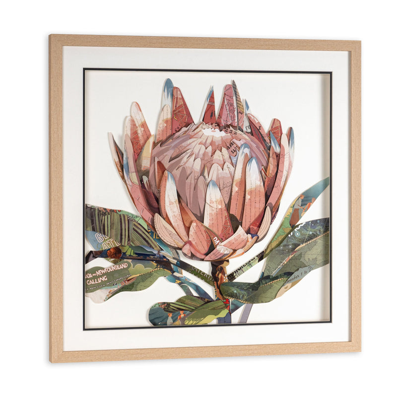 Petal Palette Collage II Brown Shadowbox Textual Art Wall Art Homeroots Home Decor