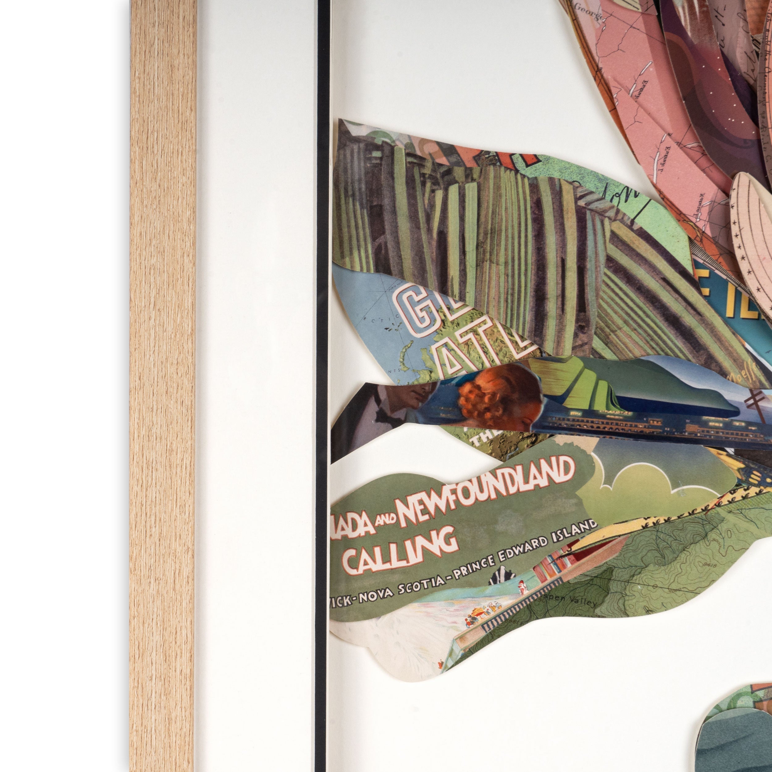 Petal Palette Collage II Brown Shadowbox Textual Art Wall Art Homeroots Home Decor