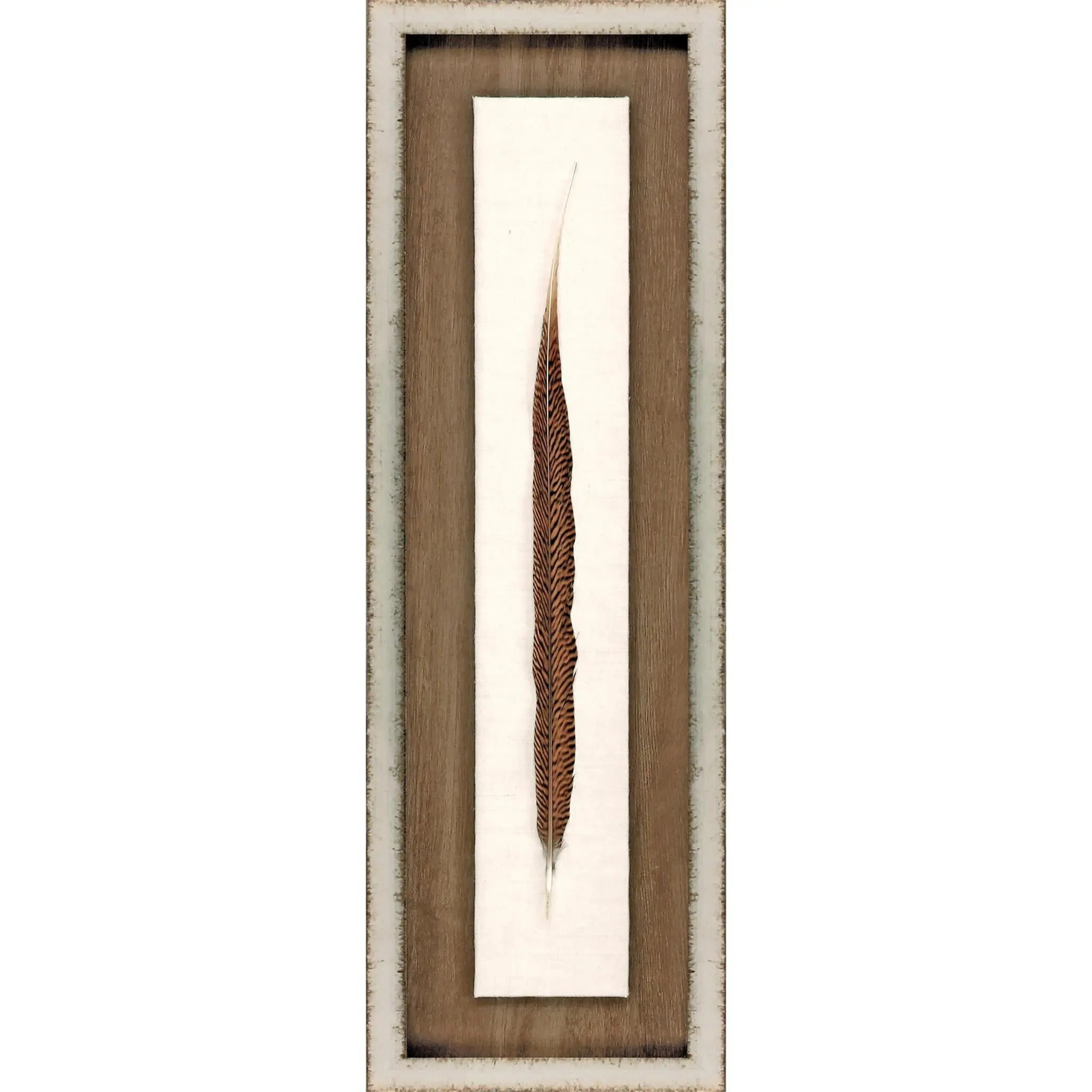 Pheasant Feather Silver Framed Wall Art Homeroots Home Decor