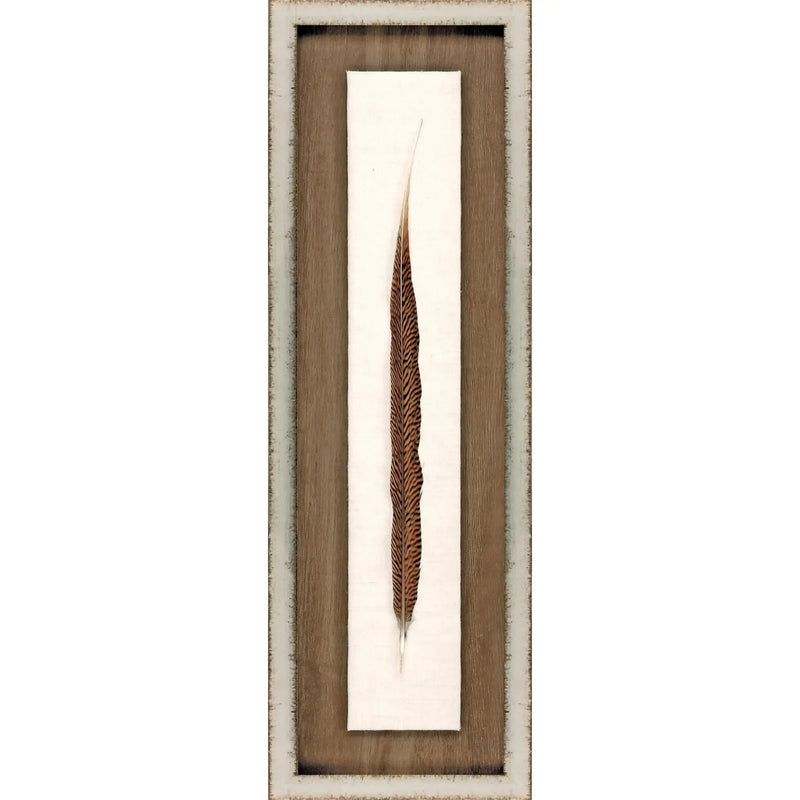 Pheasant Feather Silver Framed Wall Art Homeroots Home Decor