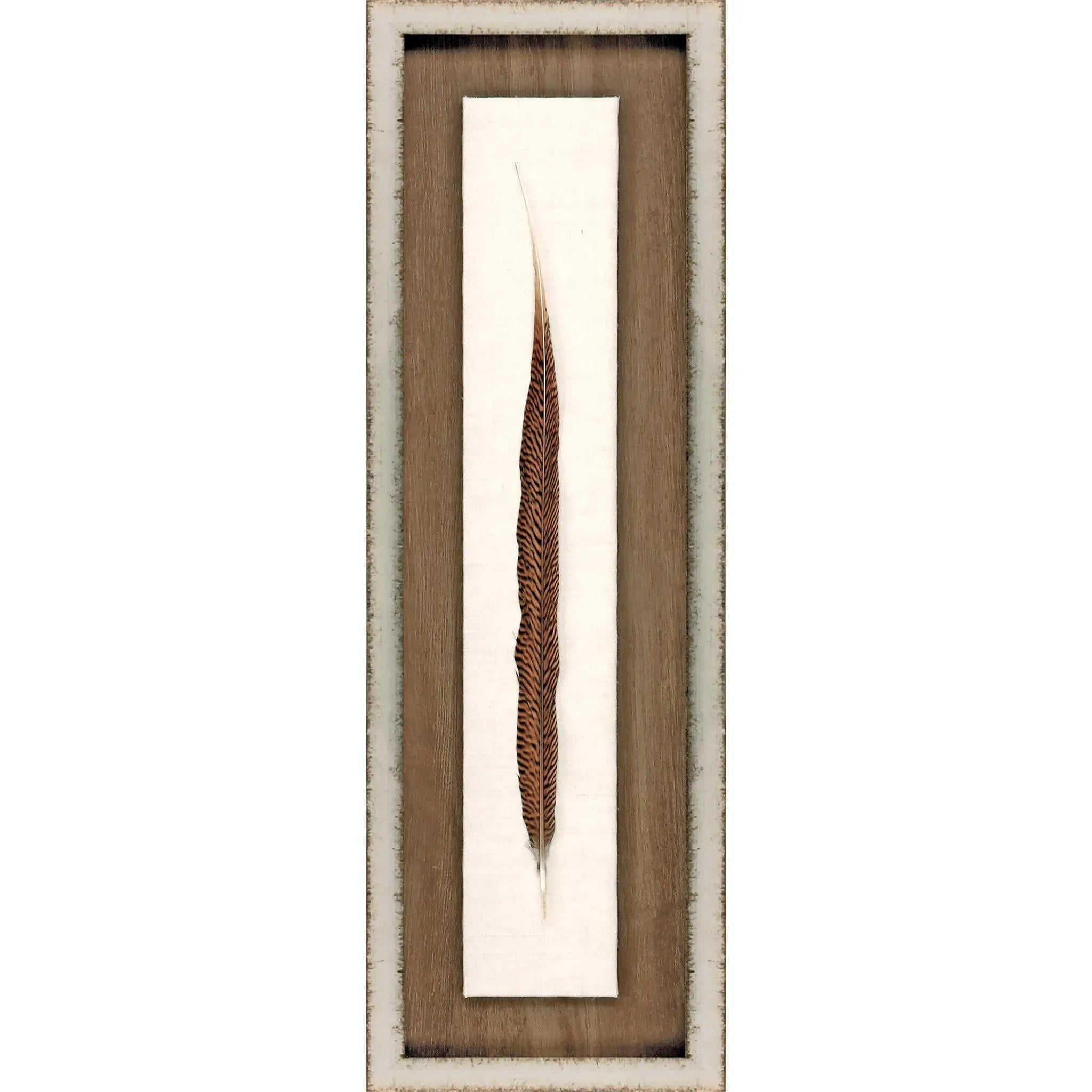 Pheasant Feather Silver Framed Wall Art Homeroots Home Decor