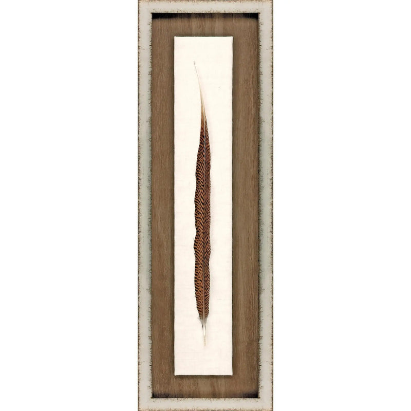 Pheasant Feather Silver Framed Wall Art Homeroots Home Decor