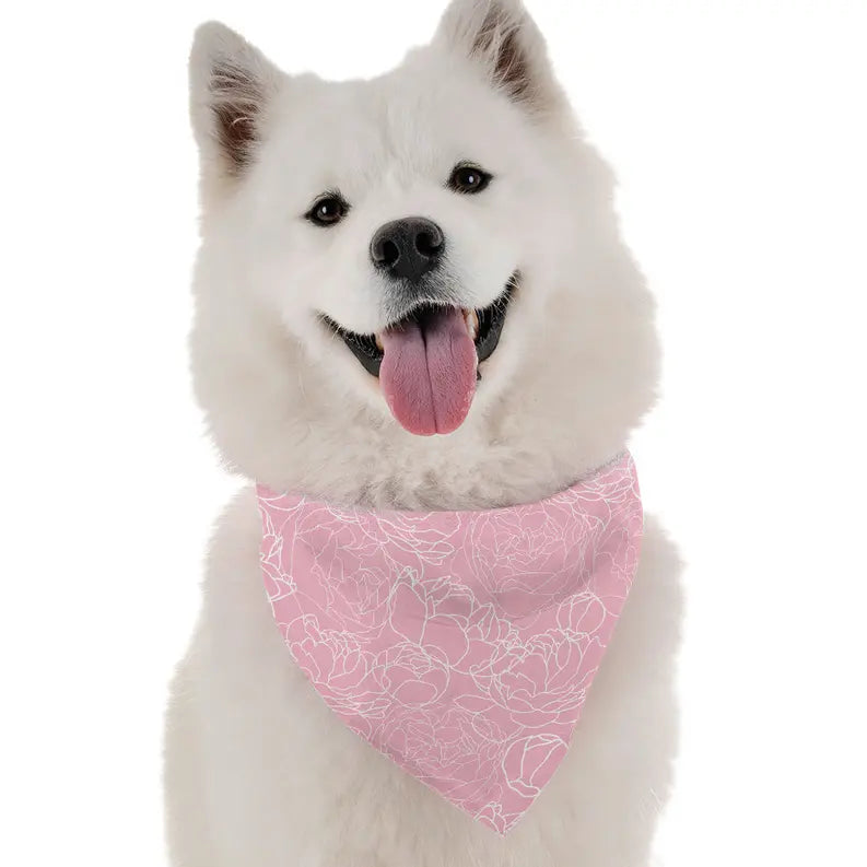 Pink Carnation Bandoggies