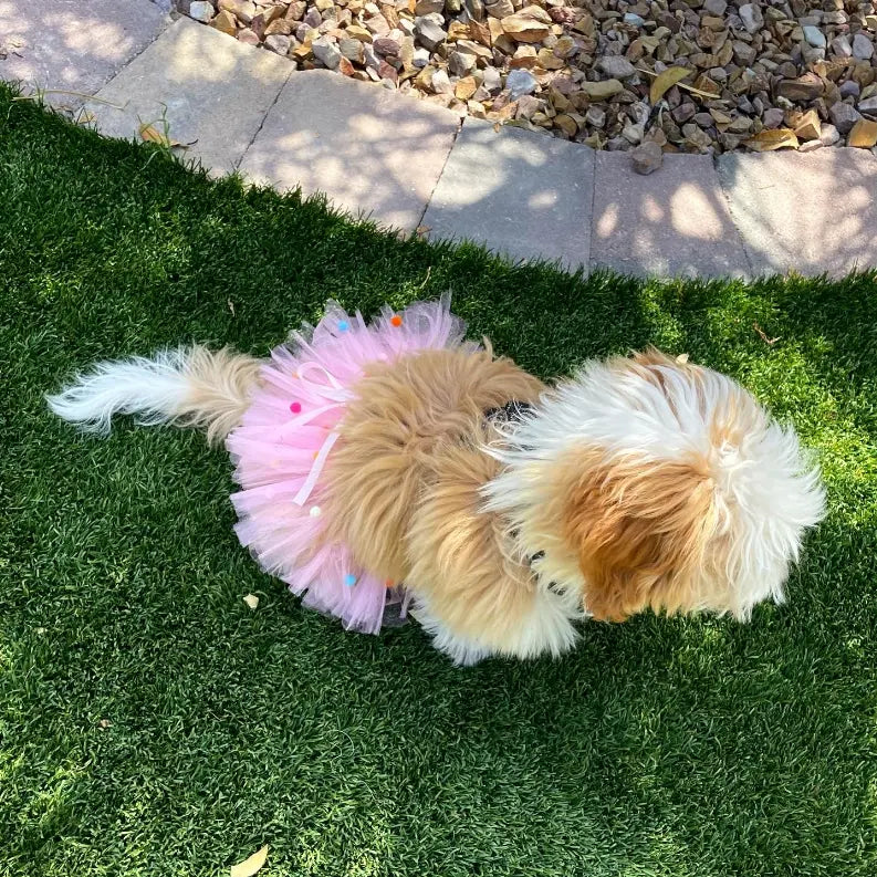 Pink Pom Pom Dog Tutu Skirt Tutu Joli