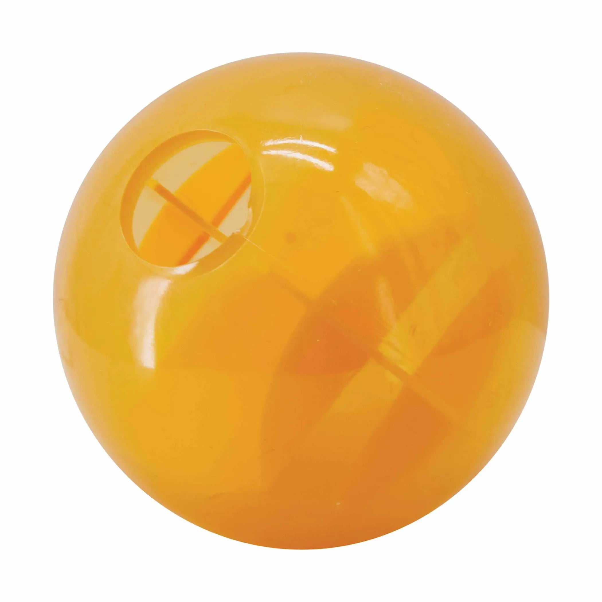Planet Dog Orbee-Tuff Mazee Interactive Puzzle Dog Toy Planet Dog