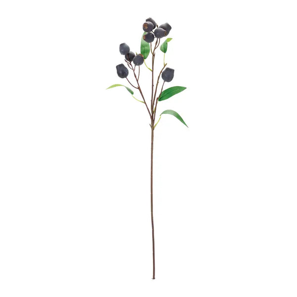 Plum Pod Spray Melrose International