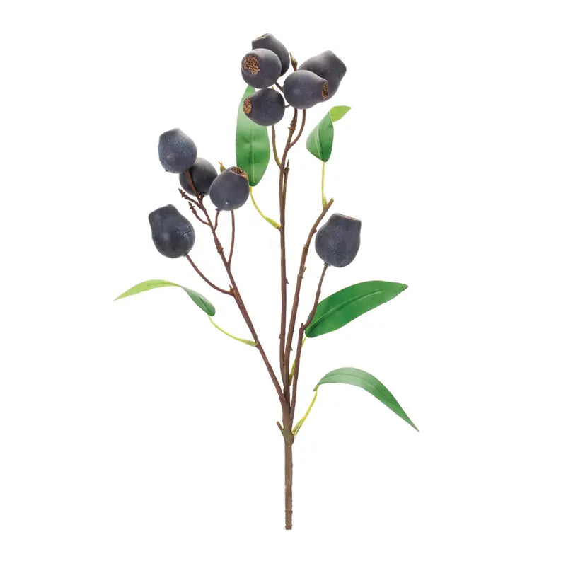 Plum Pod Spray Melrose International