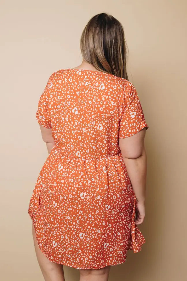 Plus Size - City Of Music Leopard Dress Stay Warm in Style