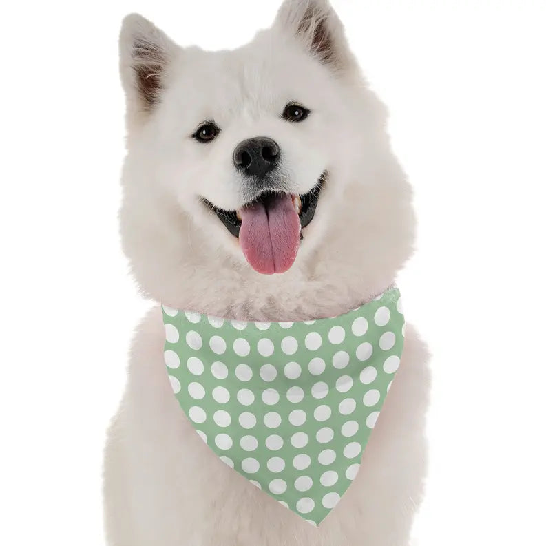 Polka Green Bandoggies