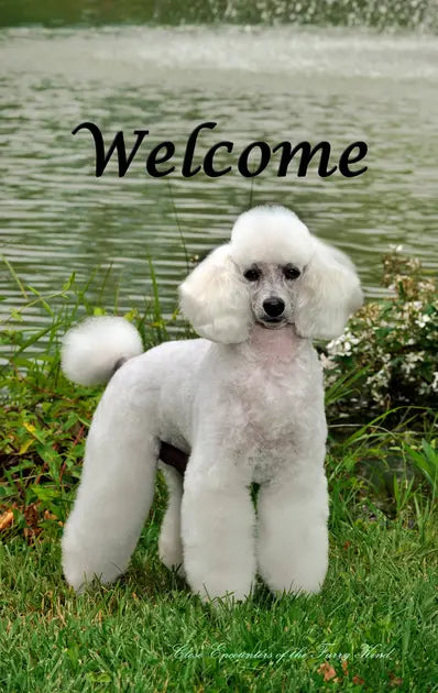 Poodle White - Close Encounters of the Furry Kind Welcome  House and Garden Flags Best of Breed