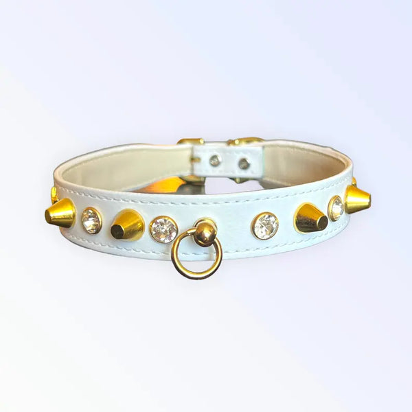Popstar Studded Collar Bark Fifth Avenue