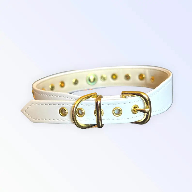 Popstar Studded Collar Bark Fifth Avenue
