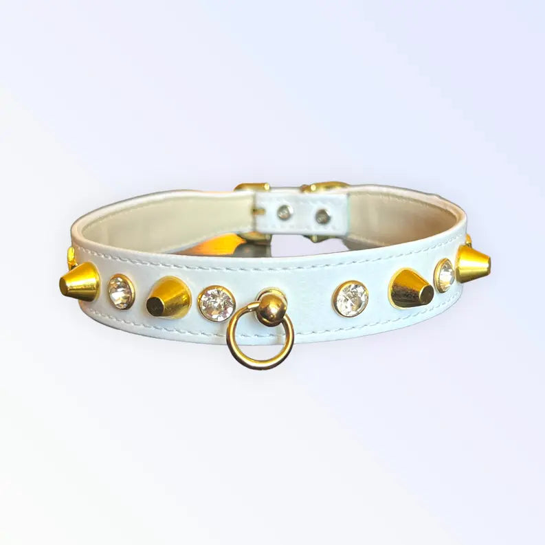 Popstar Studded Collar Bark Fifth Avenue