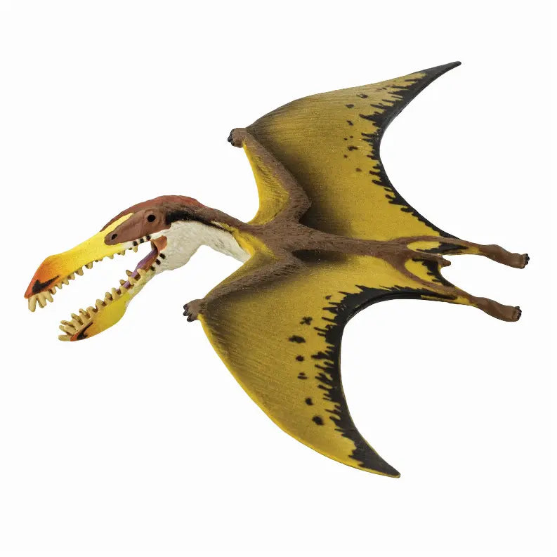 Pterosaur Safari LTD