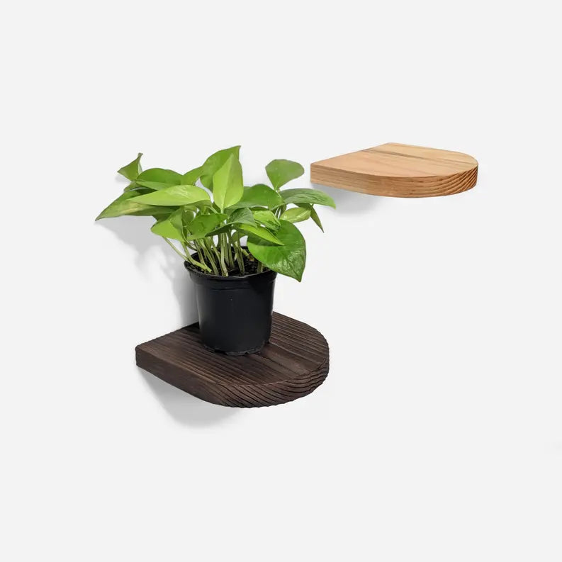Rainbow plant shelf Formr