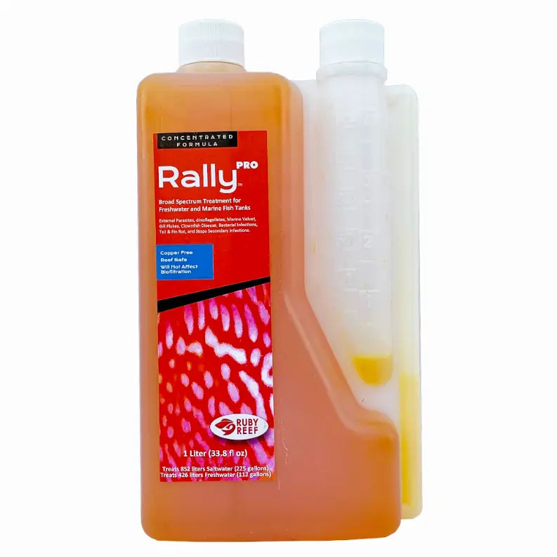 Rally PRO Ruby Reef