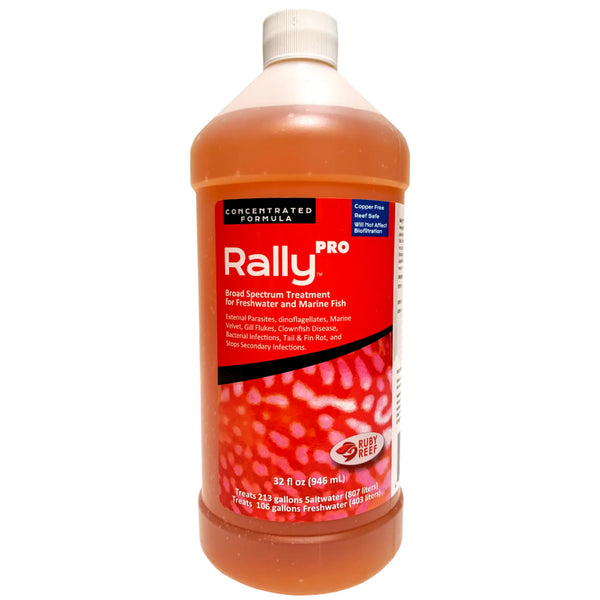 Rally PRO Ruby Reef