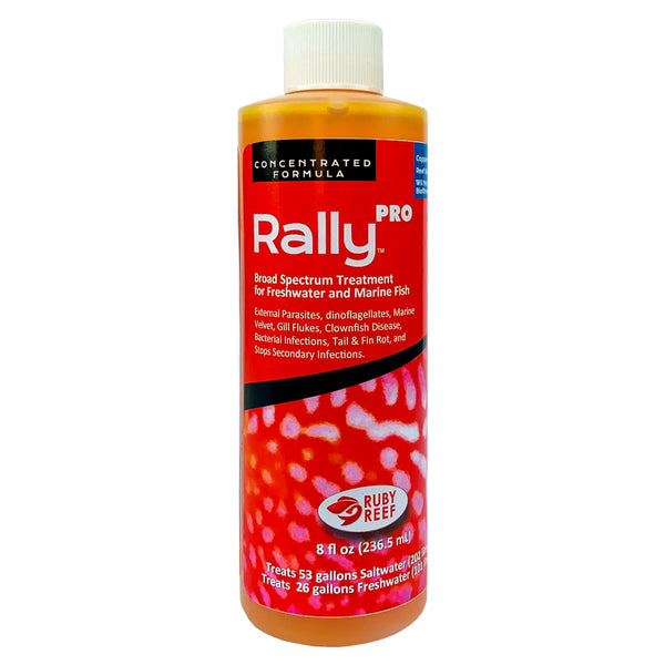 Rally PRO Ruby Reef