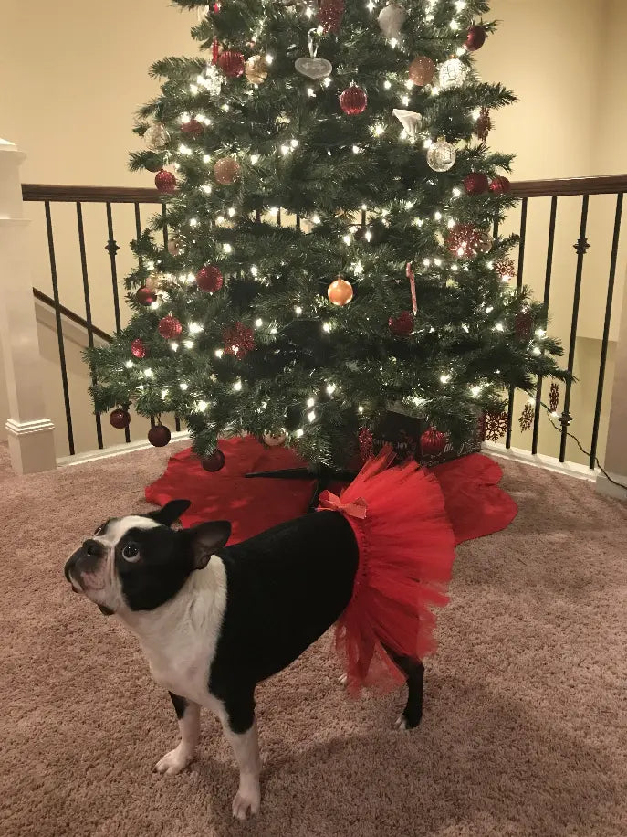 Red Christmas Dog Tutu Skirt Tutu Joli