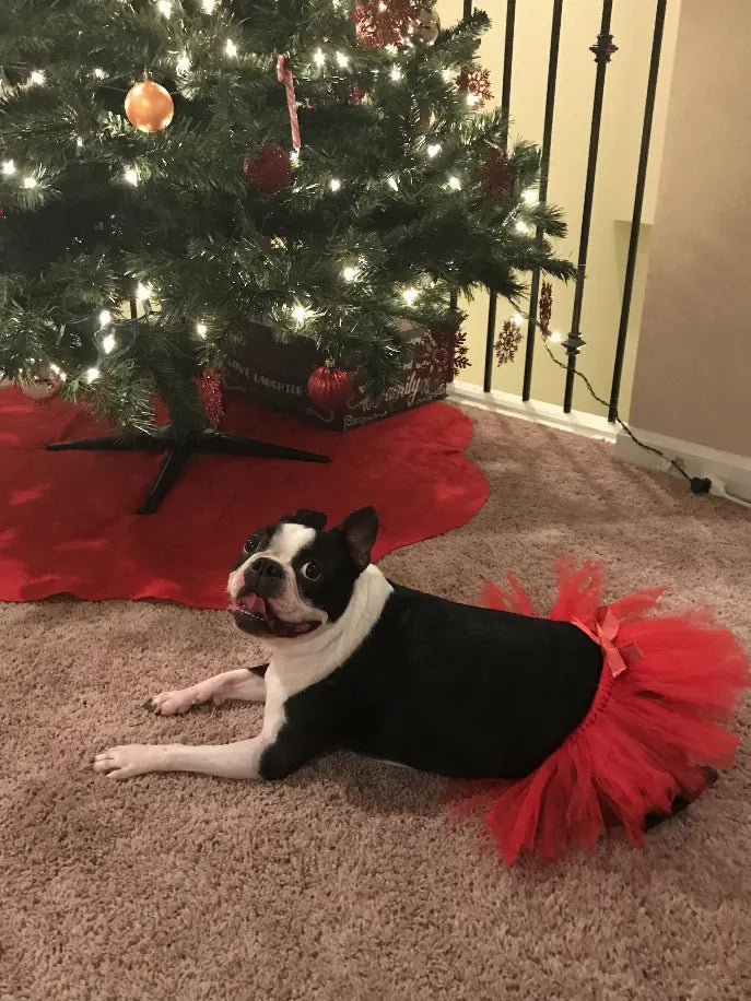 Red Christmas Dog Tutu Skirt (Large) Tutu Joli