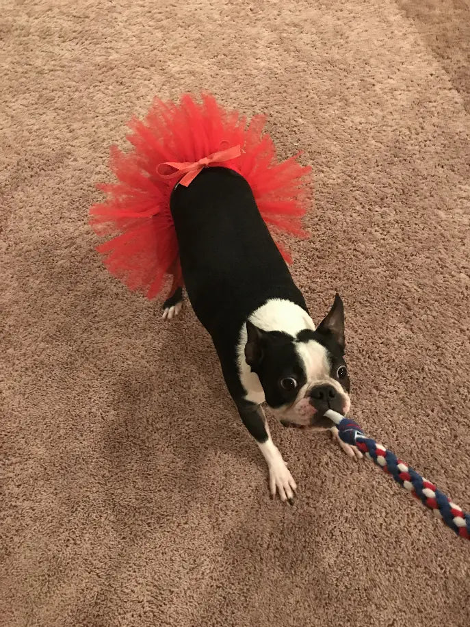 Red Christmas Dog Tutu Skirt (XL) Tutu Joli
