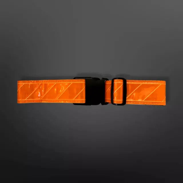Reflective Web Belt Jogalite
