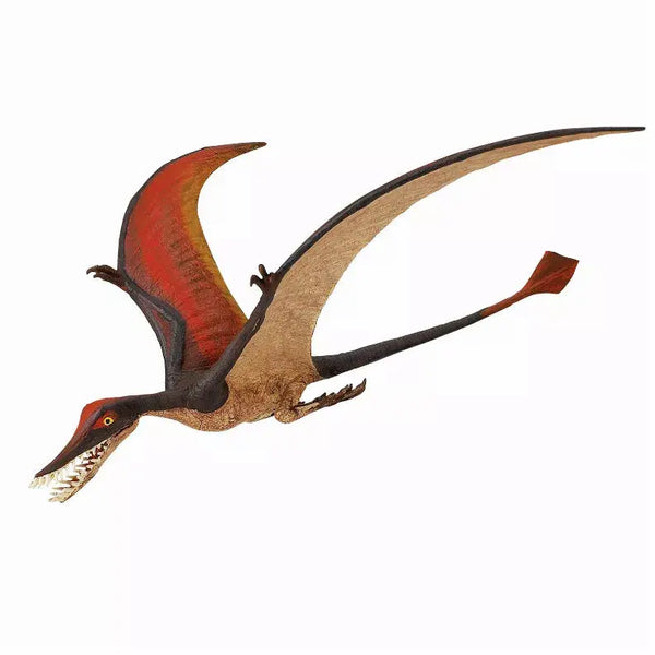 Rhamphorhynchus Safari LTD