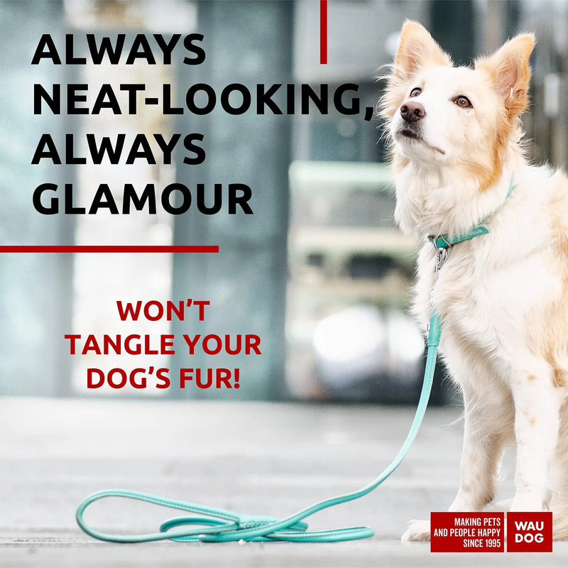Rolled Leather Dog Leash 4Ft * 0.4 in for Small Medium and Large Dogs   Heavy Duty Leather Puppy Leash for Outdoor Walking Running Training   Strong Dog Leashes for Large Breed Dogs (Mint) Waudog
