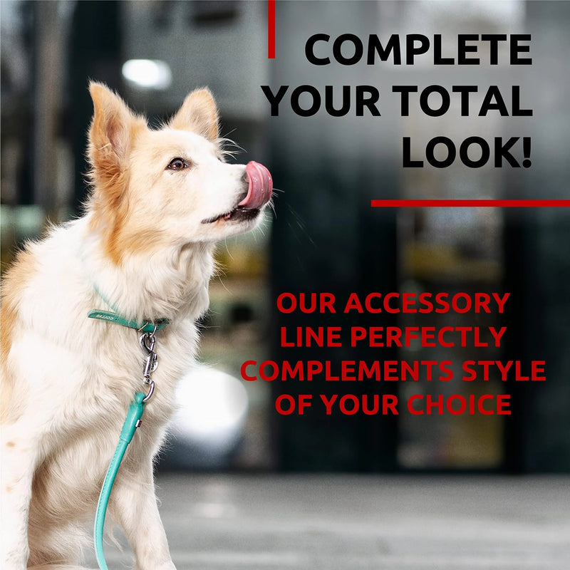 Rolled Leather Dog Leash 4Ft * 0.4 in for Small Medium and Large Dogs   Heavy Duty Leather Puppy Leash for Outdoor Walking Running Training   Strong Dog Leashes for Large Breed Dogs (Mint) Waudog