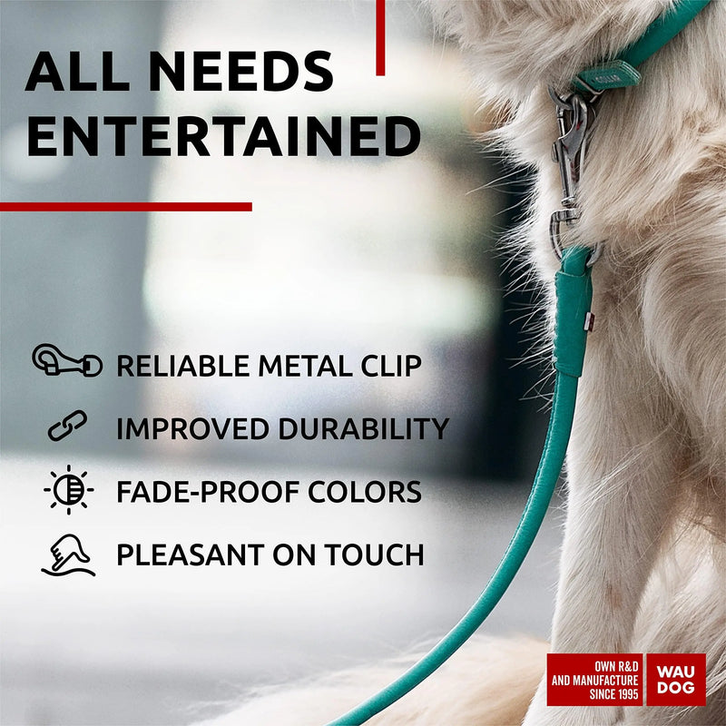 Rolled Leather Dog Leash 4Ft * 0.4 in for Small Medium and Large Dogs   Heavy Duty Leather Puppy Leash for Outdoor Walking Running Training   Strong Dog Leashes for Large Breed Dogs (Mint) Waudog