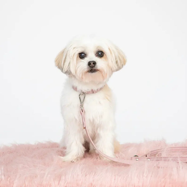Rose Pink Cork Leather Collar DIPHDA