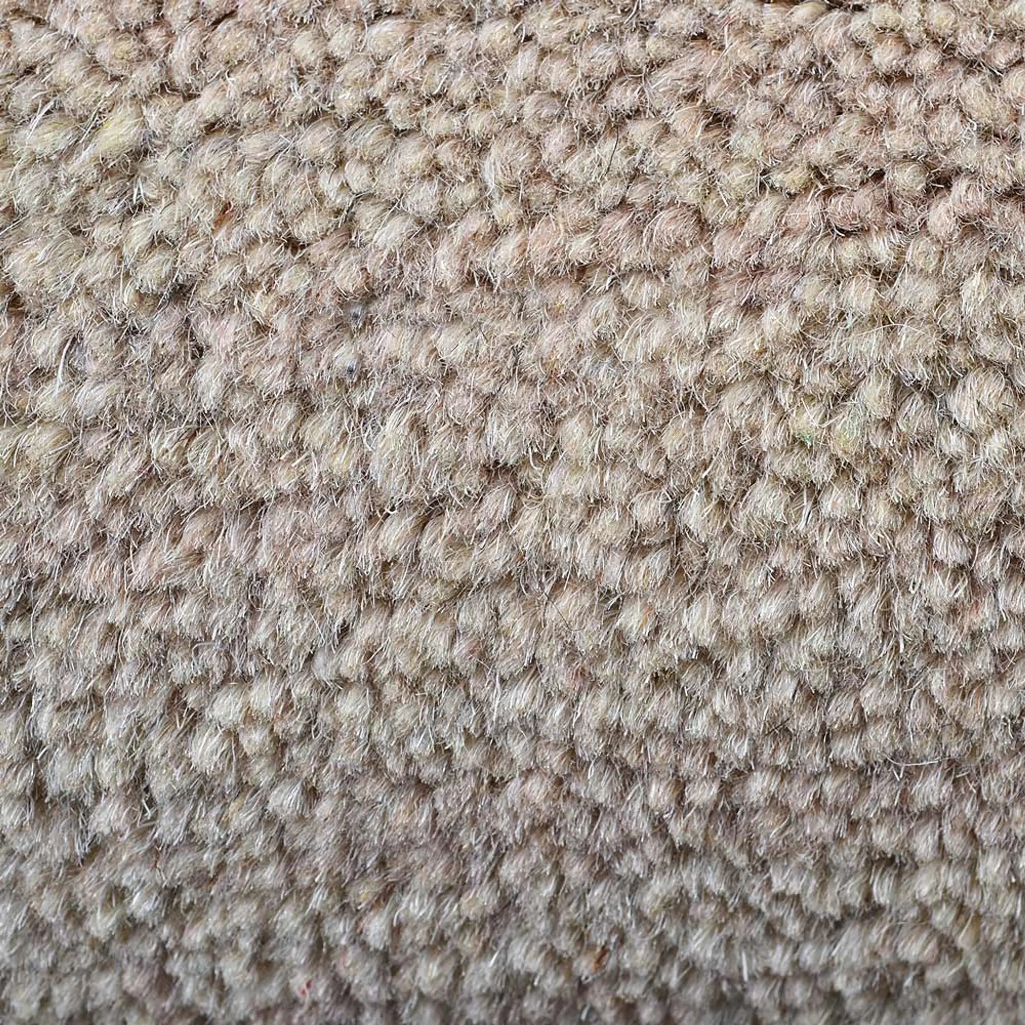 Rugsotic Carpets Hand Knotted Loom Wool Area Rug Solid Get My Rugs LLC