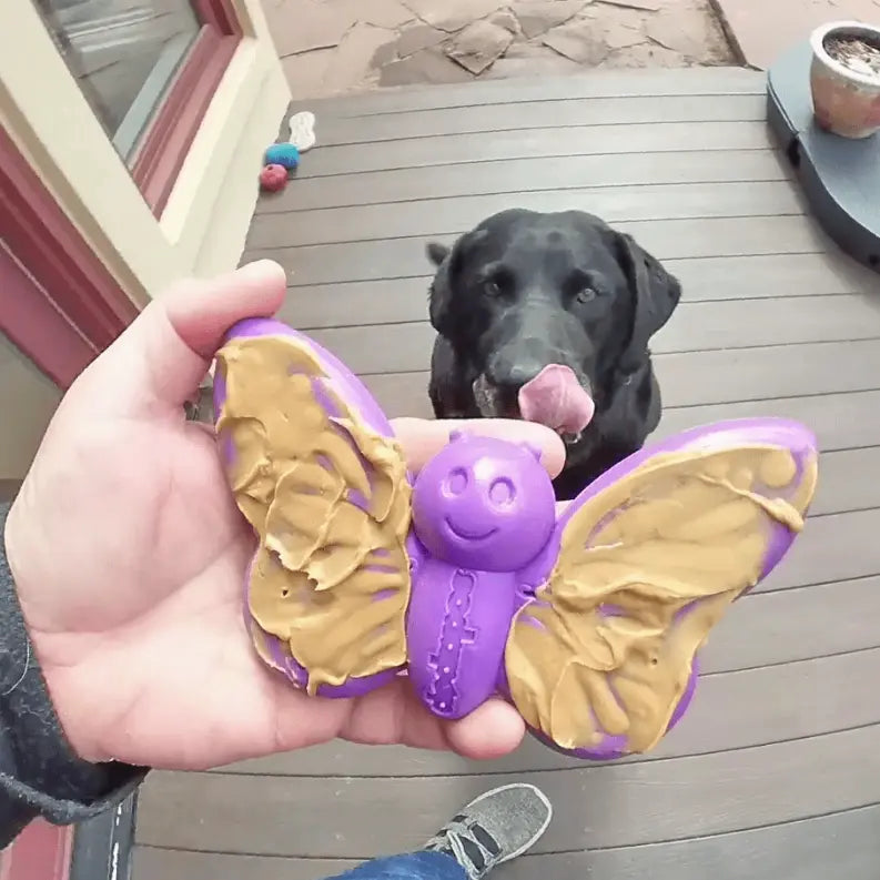 SP Butterfly Chew and Enrichment Toy SodaPup