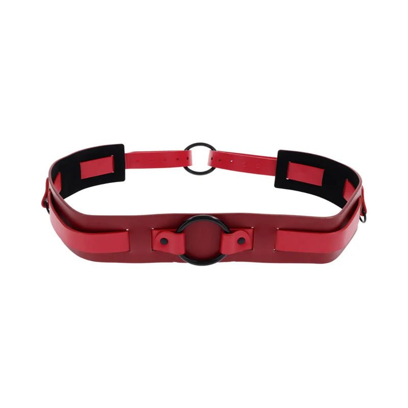 SS S&M Ex's & Oh's Bound and Belted Sportsheets