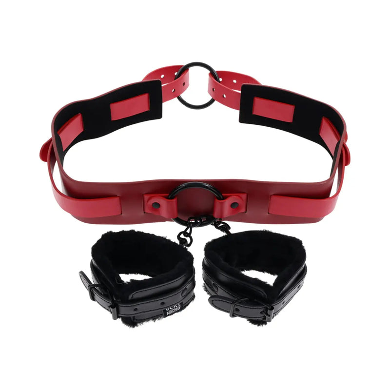 SS S&M Ex's & Oh's Bound and Belted Sportsheets