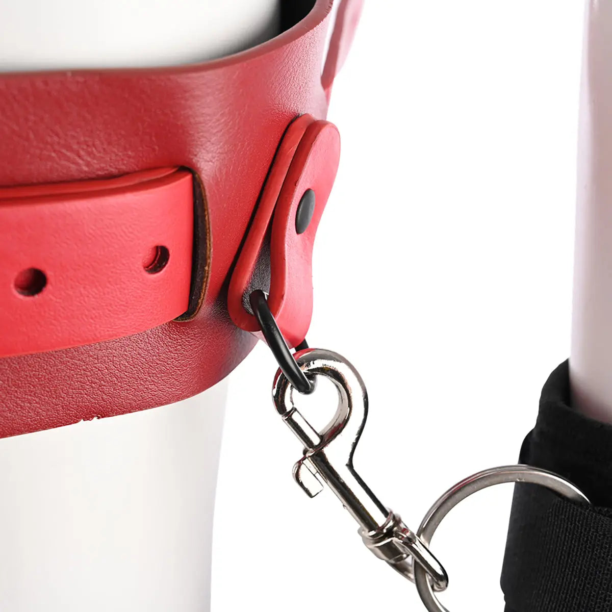 SS S&M Ex's & Oh's Bound and Belted Sportsheets