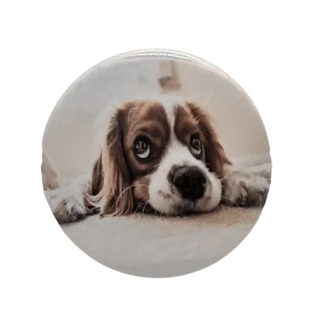 Sad Dog Bravo Buttons