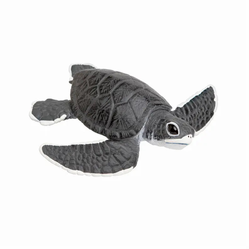 Sea Turtle Baby Safari LTD