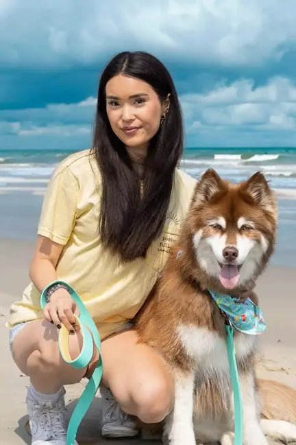 Seaside Sips Dog Bandana Aria the Fox