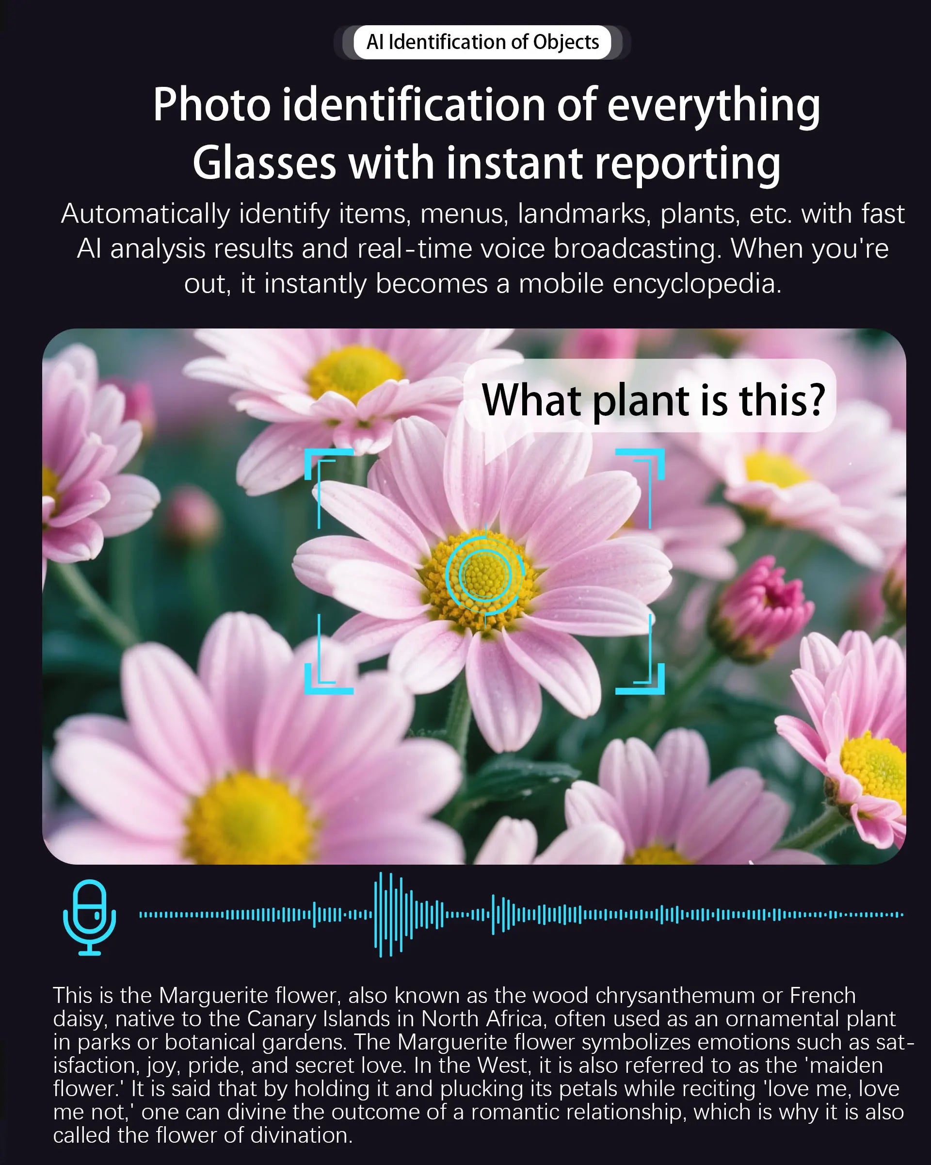 AI Glasses Smart Glasses 800W HD Photo And Video Recording Real-Time Translation Men Glasses For Women Anti-Blue Light Men Gift