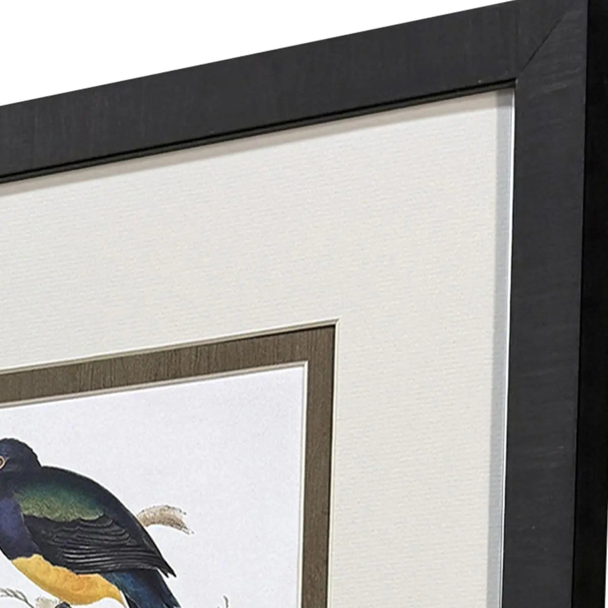 Set Of Four Elegant Trogons Set of Set Brown Framed Wall Art Homeroots Home Decor