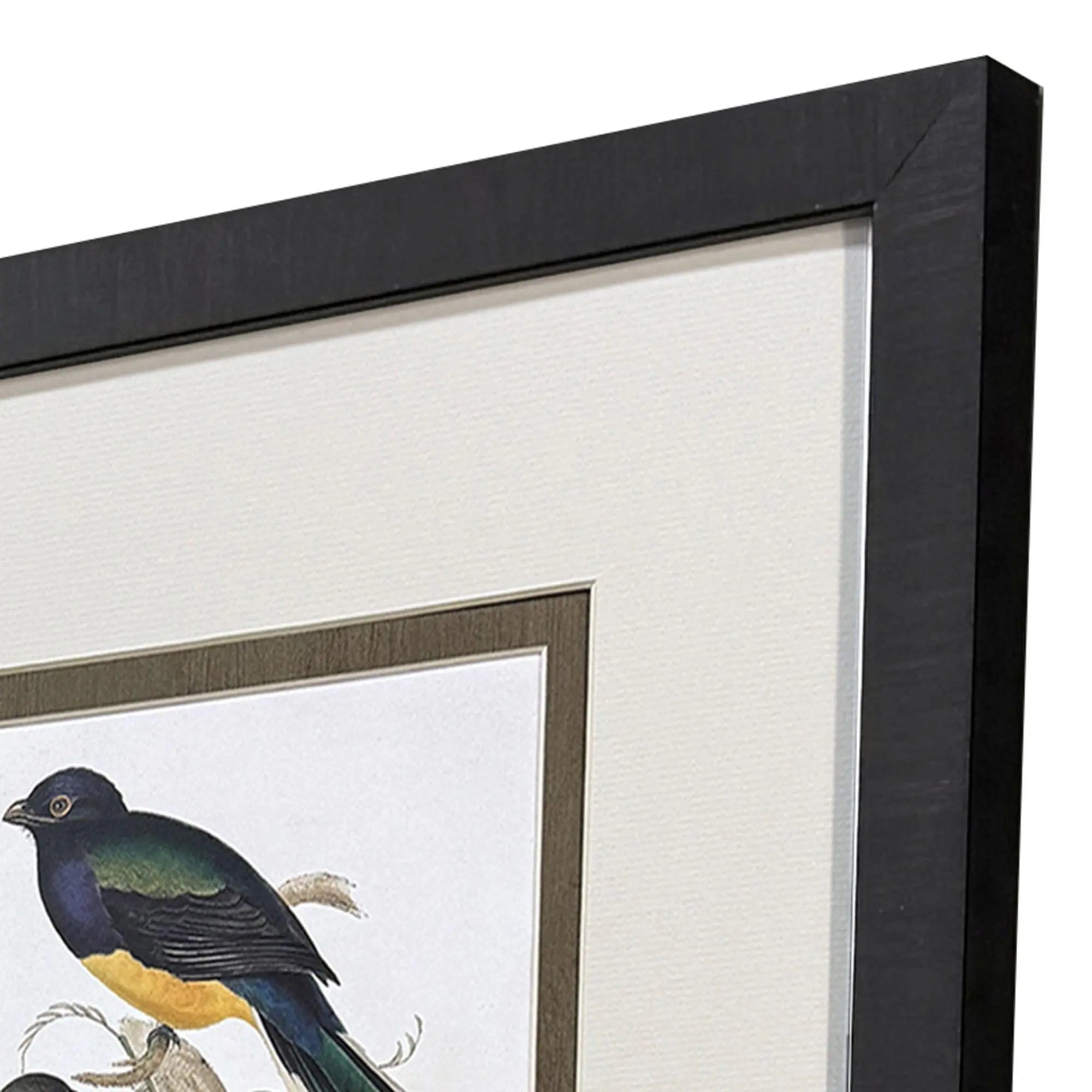 Set Of Four Elegant Trogons Set of Set Brown Framed Wall Art Homeroots Home Decor