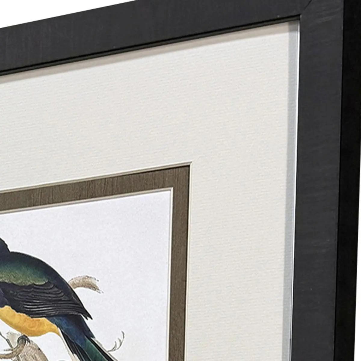 Set Of Four Elegant Trogons Set of Set Brown Framed Wall Art Homeroots Home Decor